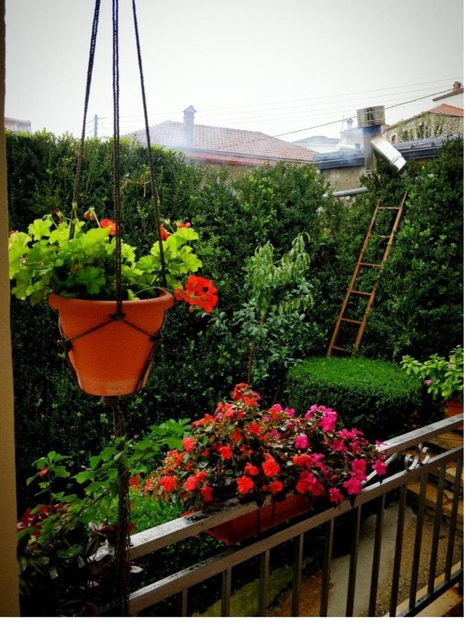 The Traditional Greek House 约阿尼纳 外观 照片