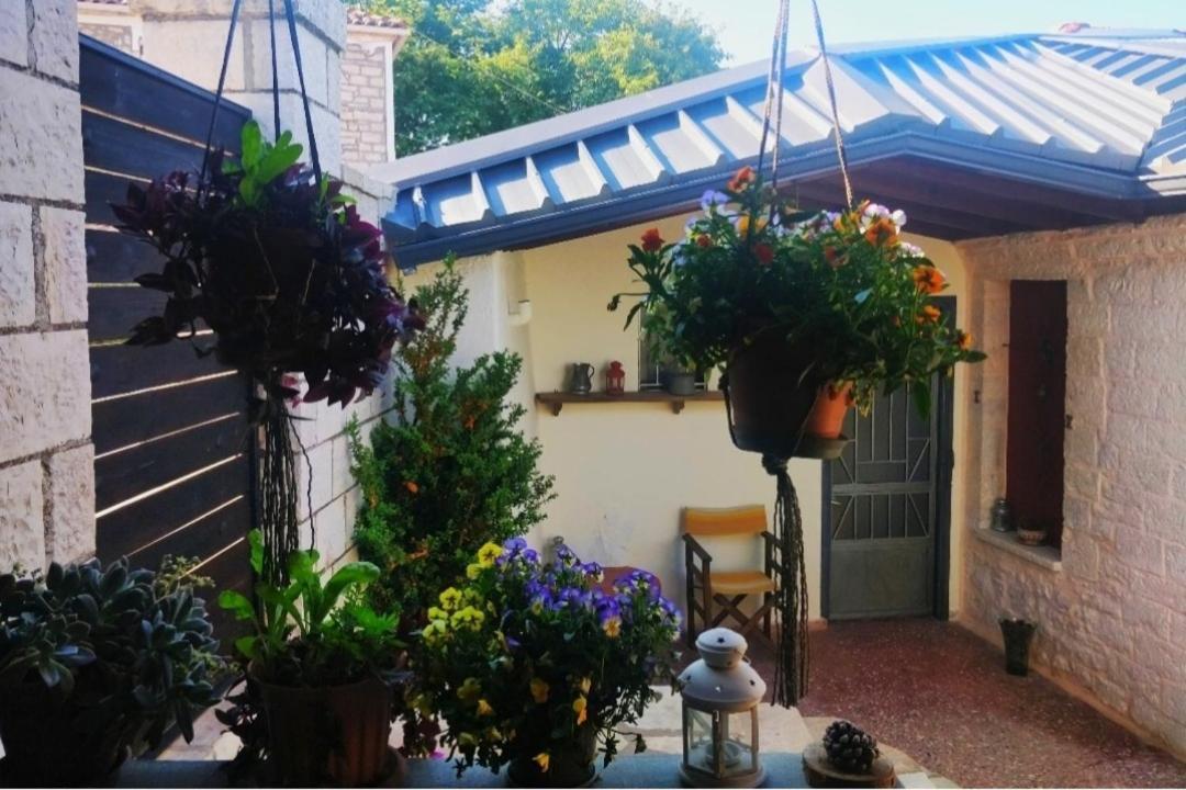 The Traditional Greek House 约阿尼纳 外观 照片